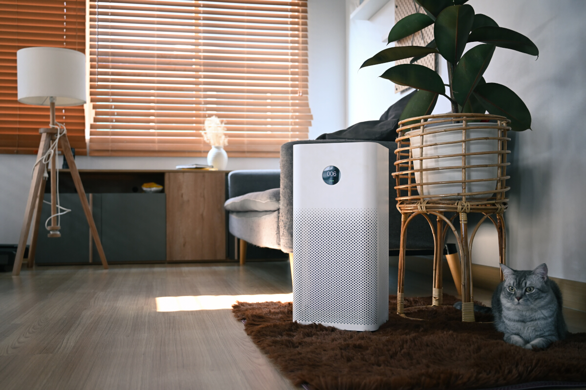 ioniseur d air